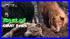 22-Giant-Bear-Kills-In-30-Minutes-Best-Big-Bear-VID-On-The-Internet-Bearhunting-01-mqhv